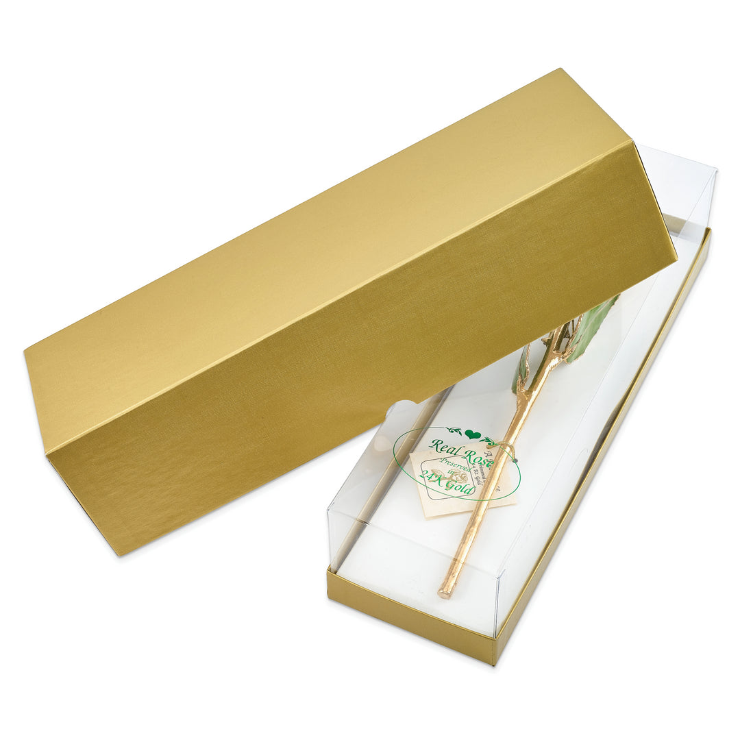 24k Gold Dipped Rose